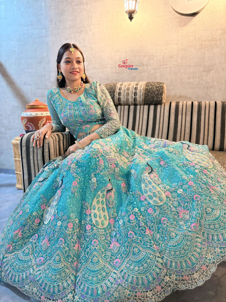 Soft Butterfly Net Lehenga with Coding Sequins Embroidery
